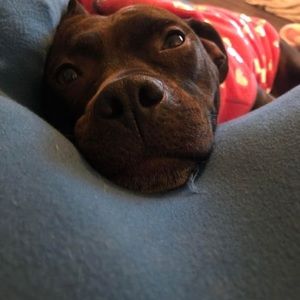 Meet your Posher, Christian